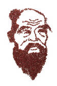 tkf003_996876