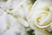 tkf003_908538