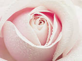 tkf003_908724