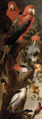 tkm001_188506