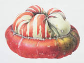 tkm001_195596