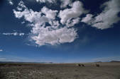 tkm001_470541
