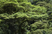 tkm001_472446