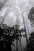 tkm001_481363