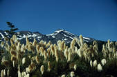 tkm001_491045