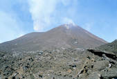 tkm001_491618