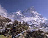 tkm001_491768