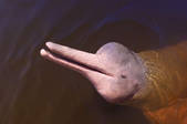 tkm001_495459