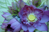 tkm001_504097