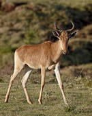 tkm001_519195