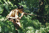 tkm001_527307
