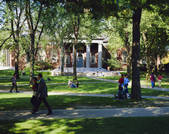 tkm001_527895