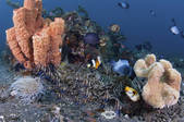 tkm001_538215