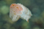tkm001_538263