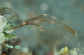 tkm001_538289
