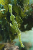 tkm001_538600