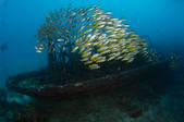 tkm001_538832