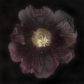 tkm001_540049