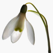 tkm001_540054