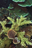 tkm001_540194