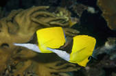 tkm001_540211