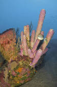 tkm001_540577