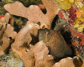 tkm001_540584