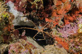 tkm001_540586