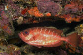 tkm001_540587