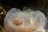 tkm001_540620