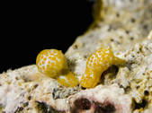 tkm001_540625