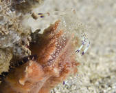 tkm001_540668