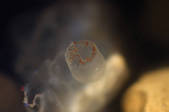 tkm001_541187