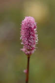 tkm001_541197