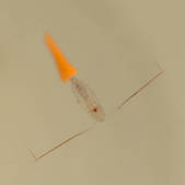 tkm001_541209