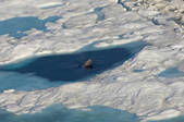 tkm001_541579