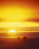 tkm001_541647