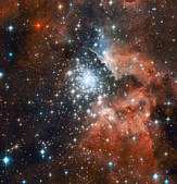 tkm001_541687