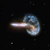 tkm001_541748