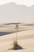 tkm001_541871
