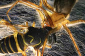 tkm001_541906