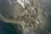 tkm001_542019