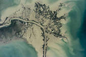 tkm001_542020