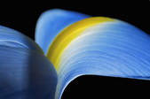 tkm001_542127