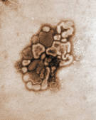 tkm001_544834