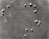 tkm001_544909