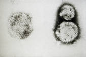 tkm001_544913