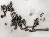 tkm001_544927