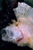 tkm001_546016