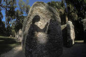 tkm001_546137